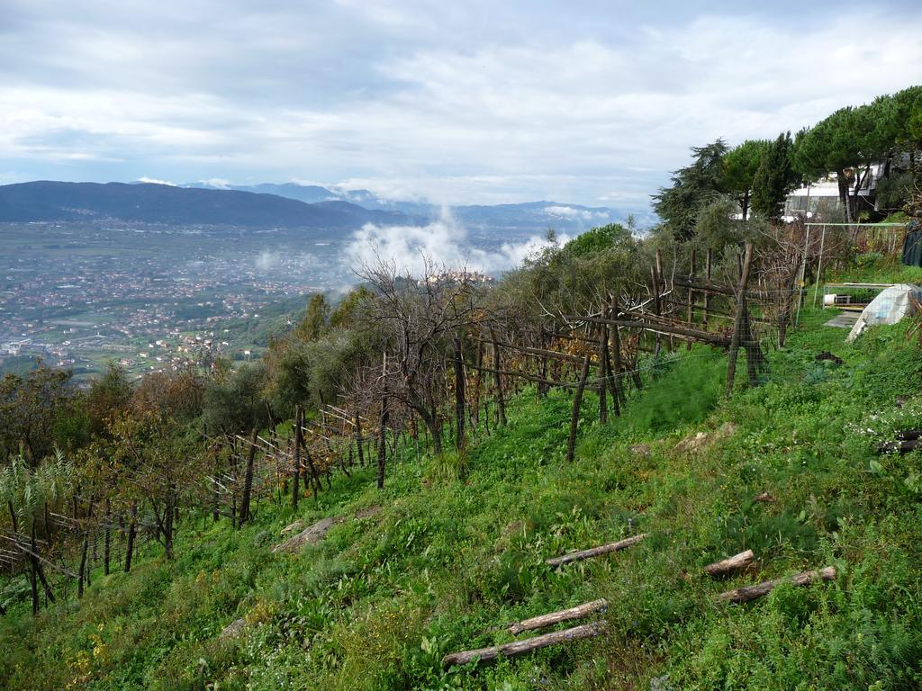 Hotel Ristorante Radar Carrara Kültér fotó